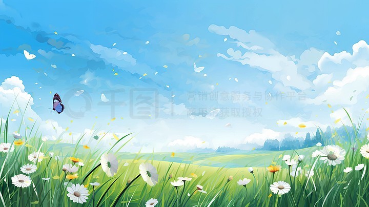 绿蜘蛛网络科技